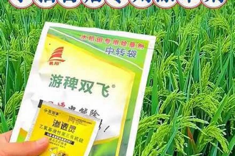 钾肥一亩地上多少