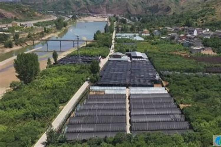 苏州硒泰克生物科技发展有限公司是不是骗人的