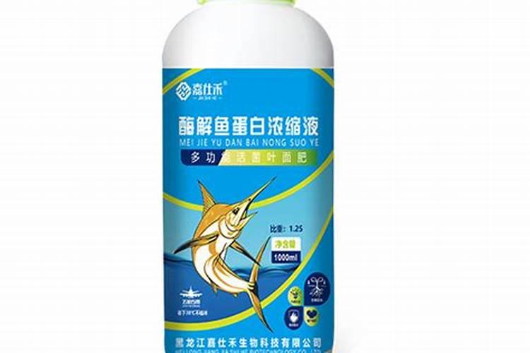 咸腥鱼蛋白诱肽肽如何制作