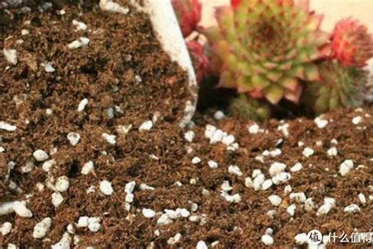 腐植酸、氨基酸、海藻素和鱼蛋白
