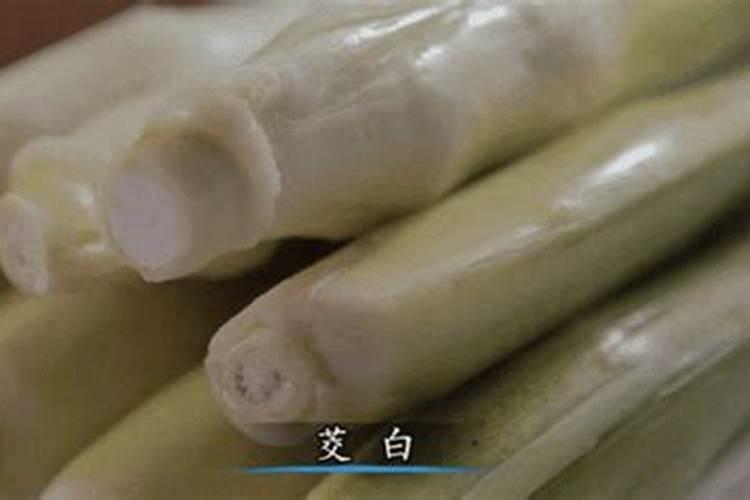 求在常温35度左右种植的胶白品种