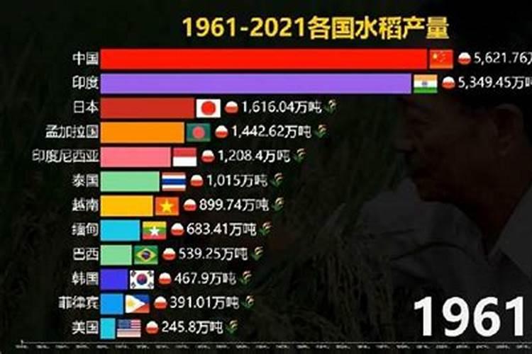 水稻分蘖期喷什么叶面肥好