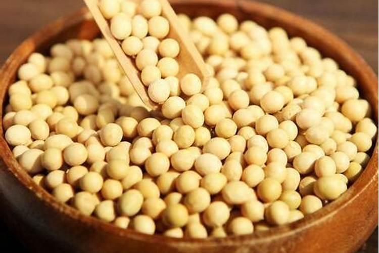 养君子兰,定期浇“营养液”,蹭蹭长新叶,油绿有光泽,你知道吗？