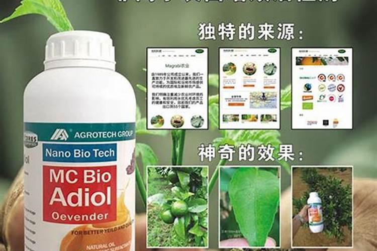 水稻增产的方法及技巧点必须知道