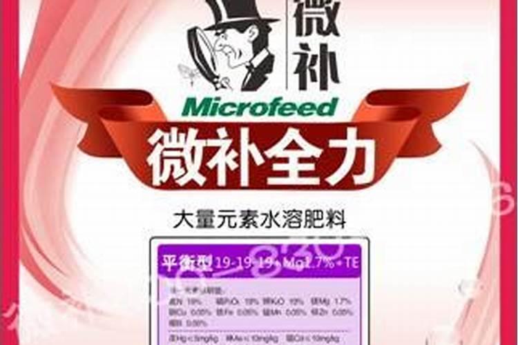 华北平原青贮玉米播种技术要点