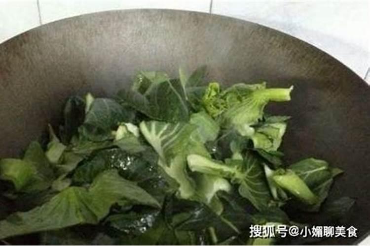 哪些植物需要氮肥