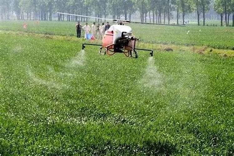 果树补钙用什么钙肥好 什么时候使用效果好
