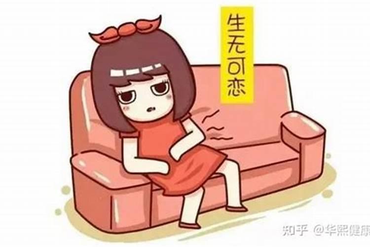 地骨皮的功效与作用 地骨皮怎么服用