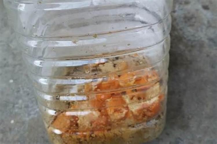 杂草沤肥的方法