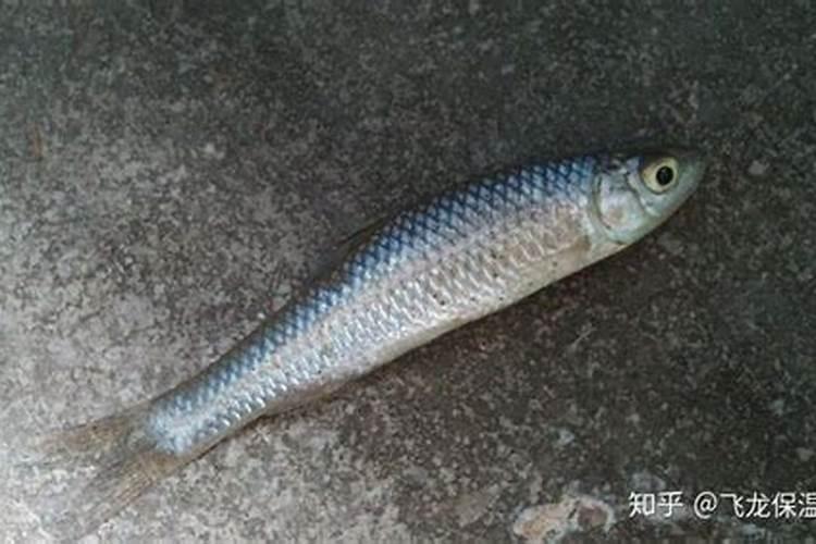 小麦套餐第一遍什么时候打效果好