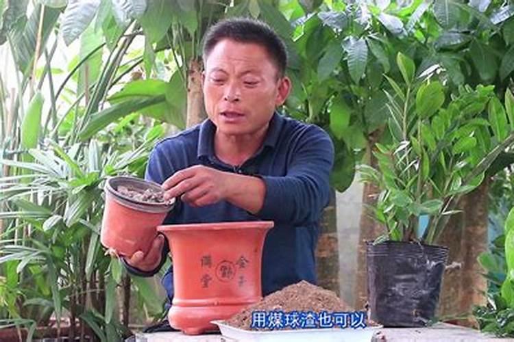 自制水溶肥一览表