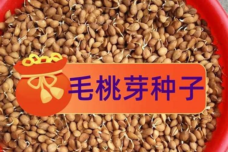 氮肥对植物的作用 氮肥对植物作用