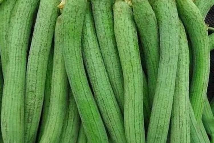 花椒树用什么肥料好