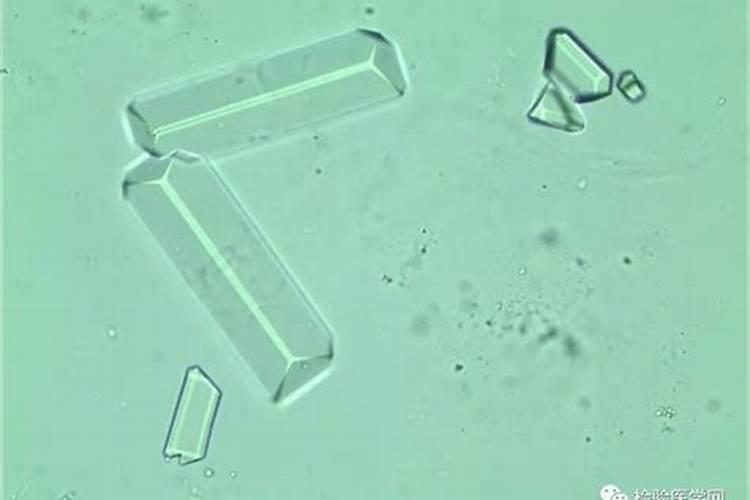 大量元素水溶肥用时要注意这五点,切不可掉以轻心!宝然生物