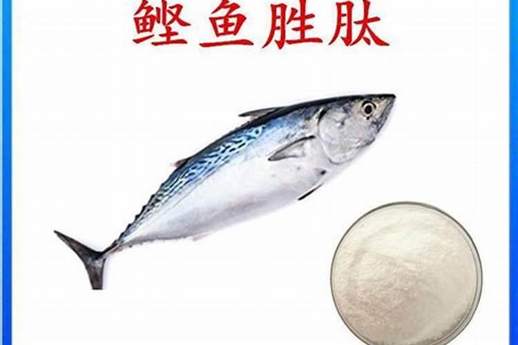 鱼蛋白肥料厂家前十名