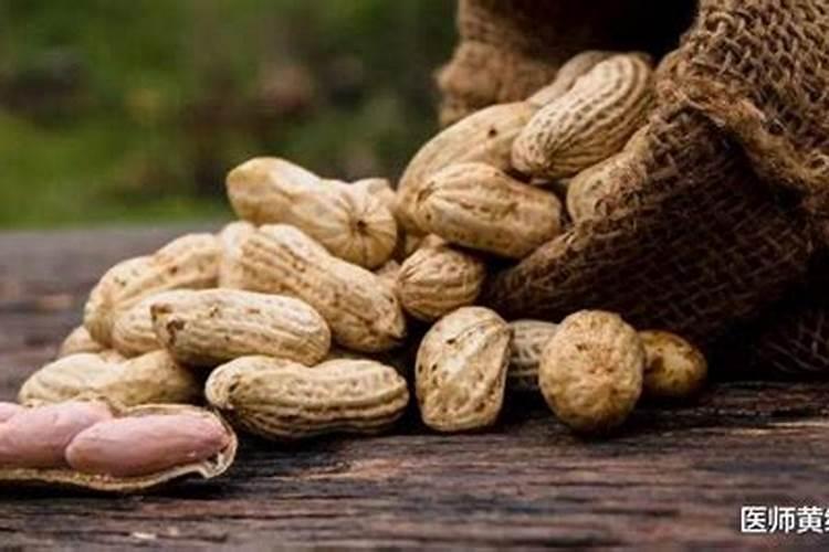 种豆子怎么种 种豆子如何种