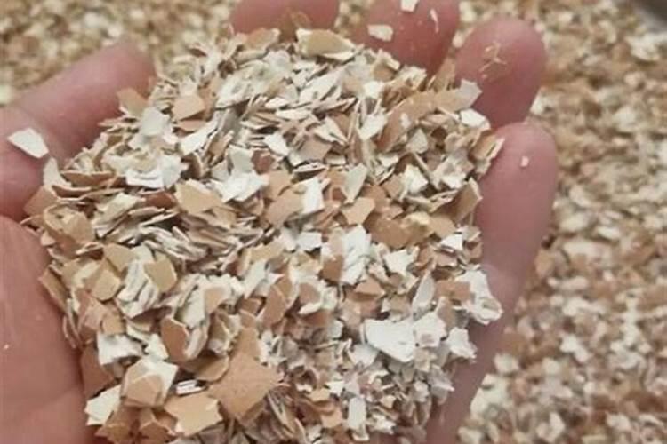 煮熟的米饭能作为肥料种花吗？