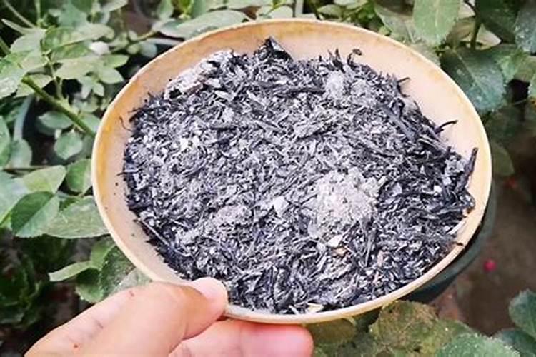 草木灰能和化肥同时用吗