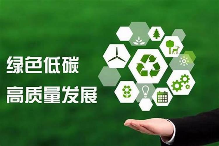 芒果树用什么肥料最好