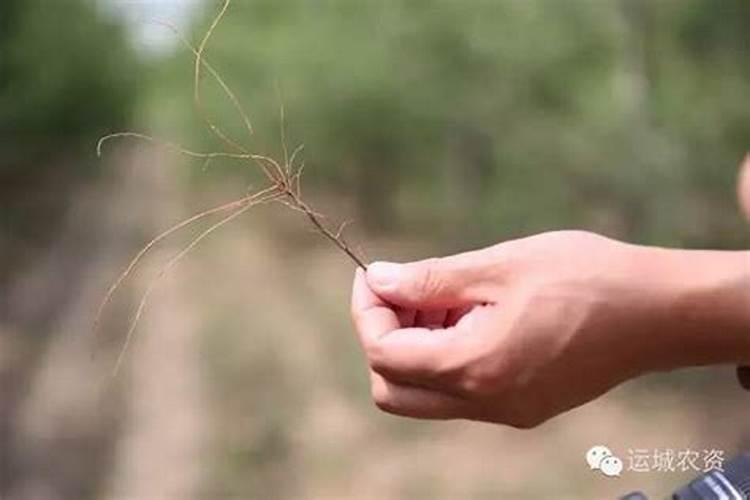 什么叫不开沟施肥