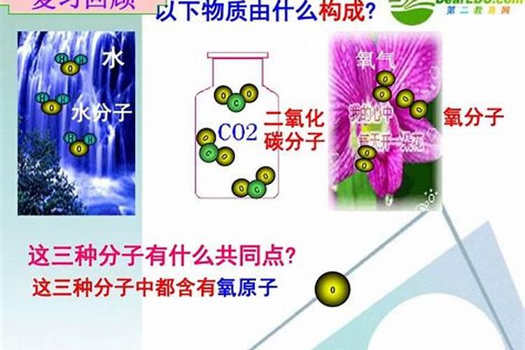 大量元素中量元素微量元素的区别