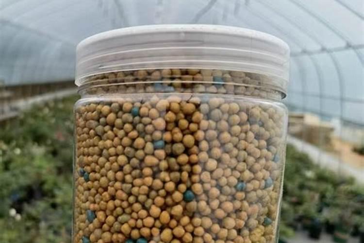 如何种花生才能高产
