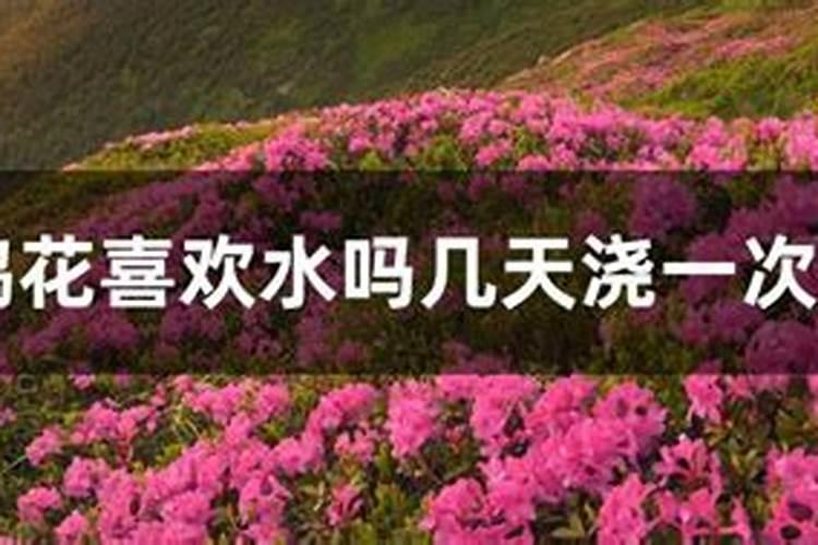 南通有哪些大型的药企呢
