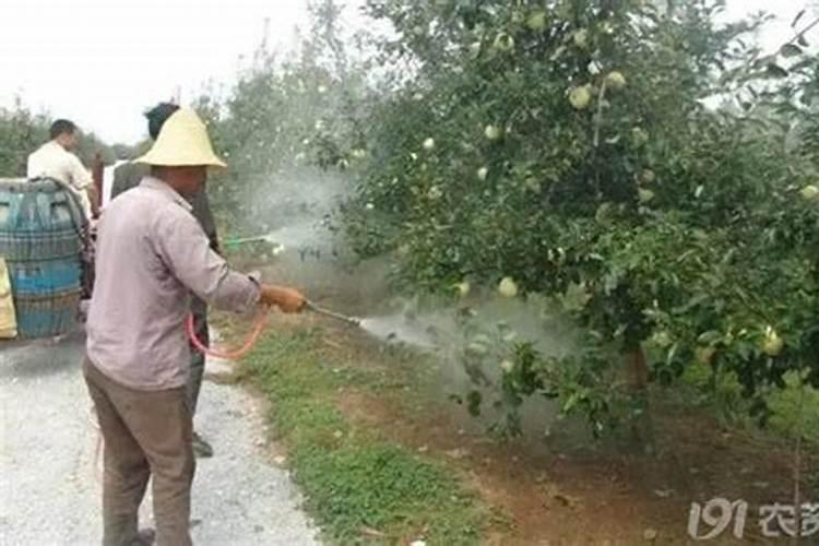 重过磷酸钙酸法磷肥