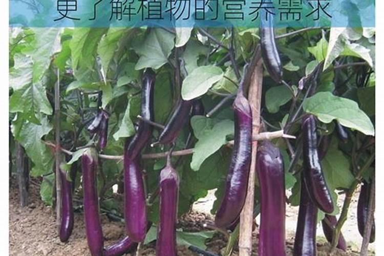 水稻生产,怎样提高氮肥利用率？