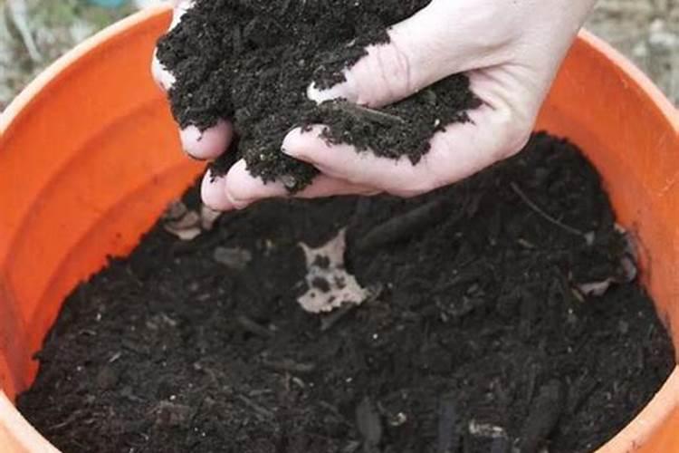 磷肥的最佳使用时间