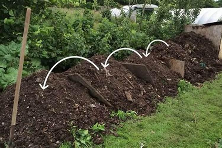 磷钾肥的科学施用方法总结