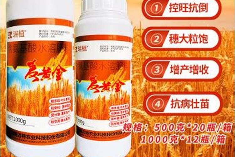 麦子开花半月欠肥料能追肥吗？我的山地麦子缺肥发黄,底肥不足。仅靠...