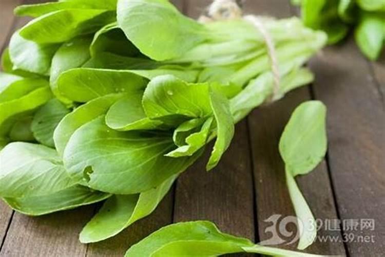 菠菜施加哪种肥料能促使其快速生长