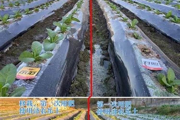 有人用过哈尔滨士林高科的叶面肥吗？效果怎么样