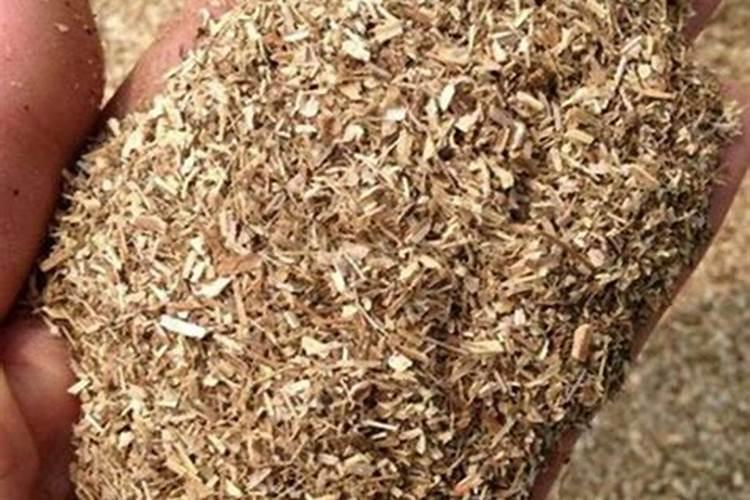 花生糠怎样发酵？