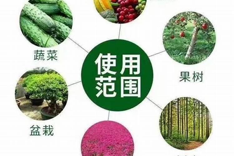 尿素和高钾肥配起来一直冲施会对西红柿有什么影响