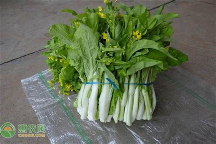 橘子皮怎么沤肥