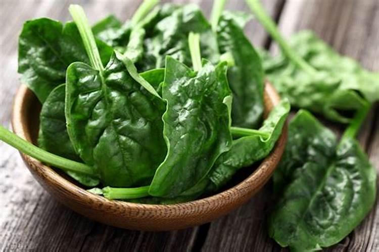 波菜种下去几天发芽 多久可以施肥