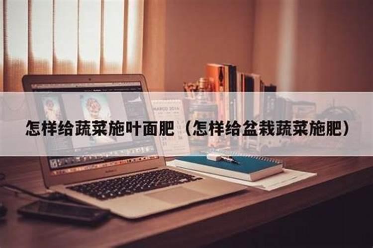 苔藓用什么土