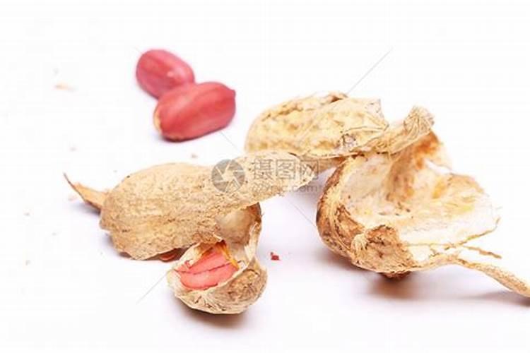 花生壳怎么做肥料种花 花生壳腐熟是发霉吗