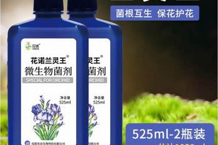太阳花施肥的方法