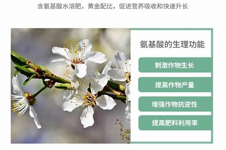 氨基酸水溶肥的主要成分有哪些 常用的氨基酸水溶肥配方