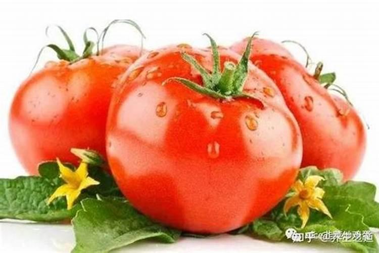 西红柿冬季如何施肥 西红柿冬季施肥方法有哪些