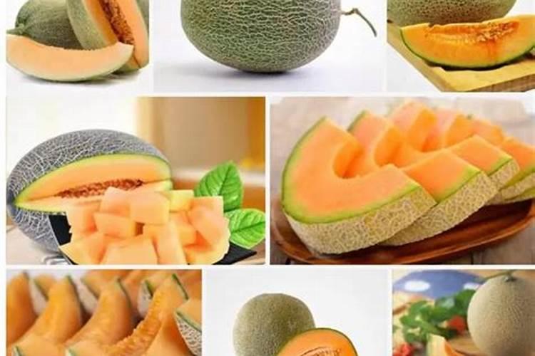 哈密瓜常年重茬用什么肥料基肥？