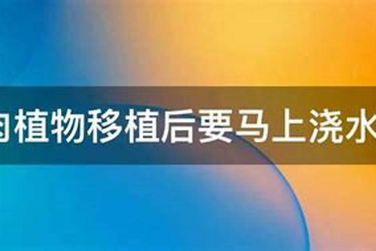 花移盆之后可以马上就浇水吗
