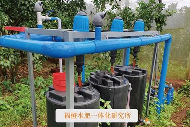 西瓜的物侯期,管理措施肥水管理及病虫害防治的作物方案