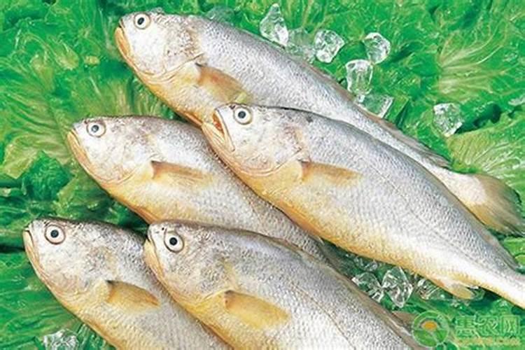 谷氨酸在饲料中的作用和功效