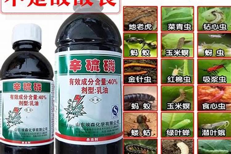 治疗根腐病的特效药