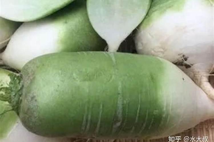 请问怎样种青萝卜？