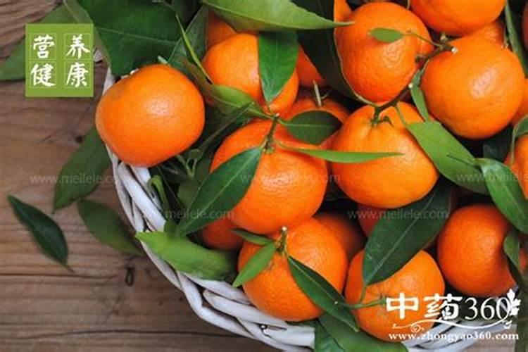 桔子树如何施肥